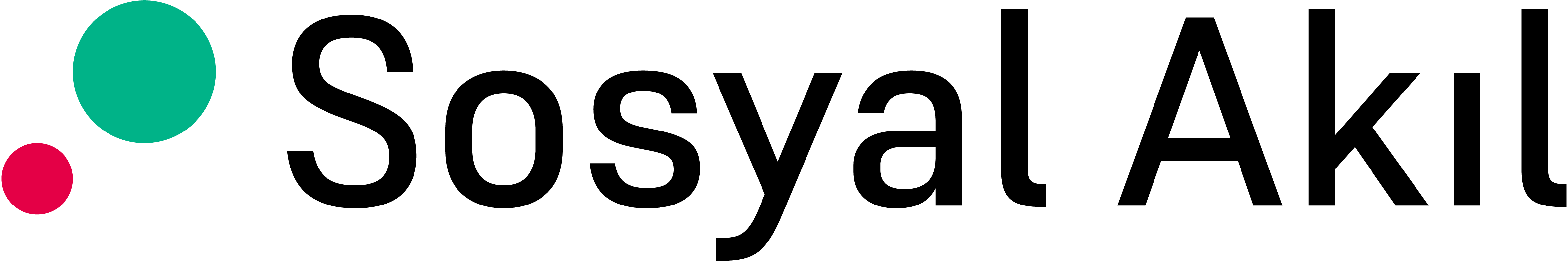 Sosyal-Akil-Logo